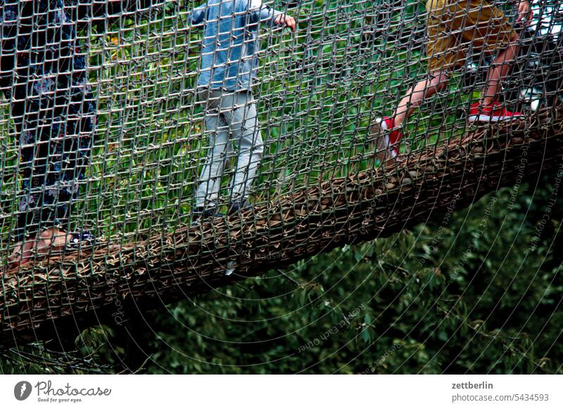 Children crossing a bridge Animal Wild Wild animal Zoo zoo visit Bridge Wooden bridge Traverse Crossing Net Catching net Protection rail Bridge railing Scouts