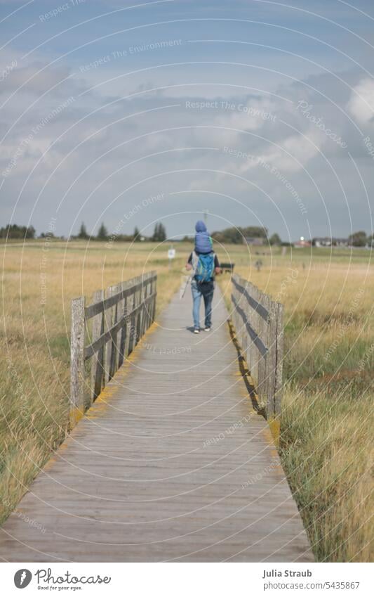 Man with child runs over footbridge in salt marshes Salt meadow Footbridge Grass Green Wood wooden walkway wooden rail Bridge railing Lanes & trails Calm Summer