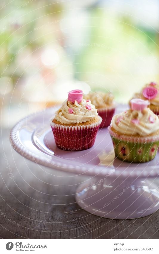 rosy Cake Dessert Candy Nutrition Picnic Slow food Finger food Delicious Sweet Pink Cupcake Colour photo Interior shot Close-up Deserted Day