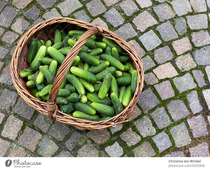 10 kg pickling cucumbers in an old woven basket gherkins Food Gherkin Cucumber Time Cucumbers cure Nutrition Vegetable Vegetarian diet Fresh boil down Green