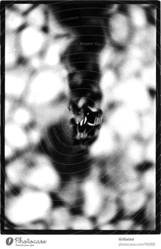 Don't hang! Black White Dark Hang Blur Chain link Black & white photo Tile Limbs