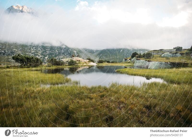 Lake in front of cloud covered mountains Bog Moor lake moorland Grass Water Clouds Landscape Nature Environment Exterior shot Marsh Deserted reflection