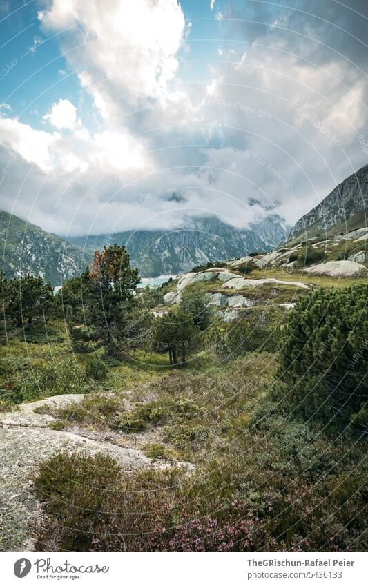 Lake in front of cloud covered mountains Bog moorland Grass Water Clouds Landscape Nature Environment Exterior shot Deserted Colour photo Day Sky Calm trees