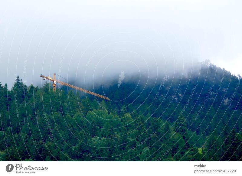 Strange tree species Construction crane Forest Mountain Crane Construction site trees Slope Alps Build Clouds Tall Manmade structures Sky Architecture