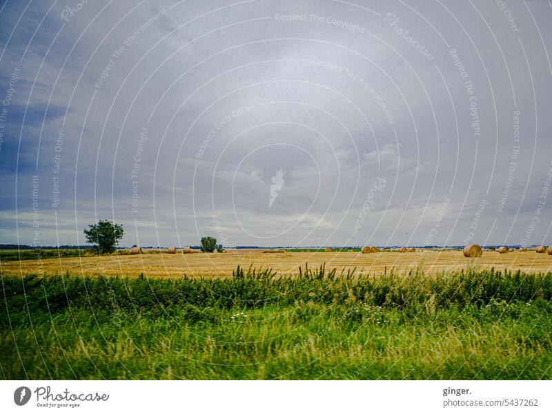 On the road - landscape (North France) Landscape Deserted Environment Nature Colour photo Exterior shot fields trees Day Sky Clouds Summer Horizon In transit