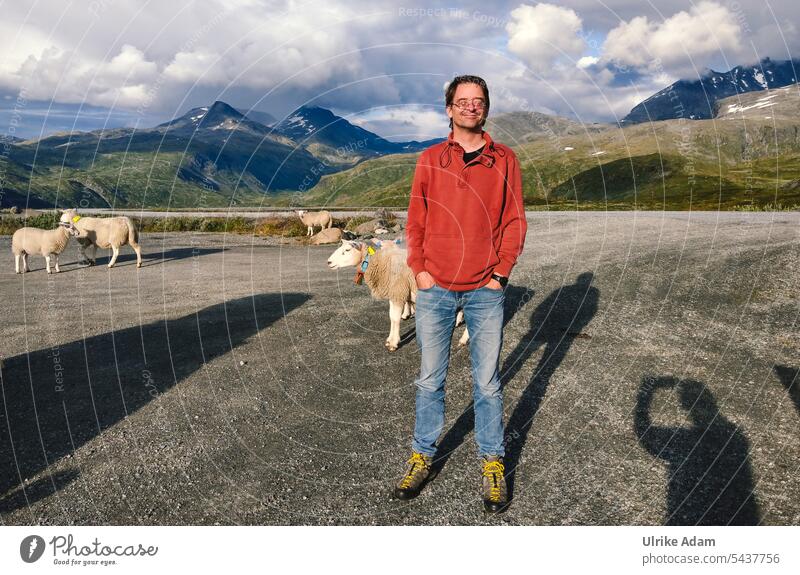 Shepherd - On the way in Jostedalsbreen/ Norway shepherd sheep animals wild Man Herdsman Nature Flock Group of animals Sheep Exterior shot Europe Adventure