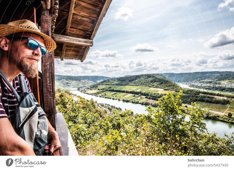 wandersjung beautifully Hut Vantage point Window Hunsrück Moselle valley Mosel (wine-growing area) Rhineland-Palatinate River bank Wine growing tranquillity