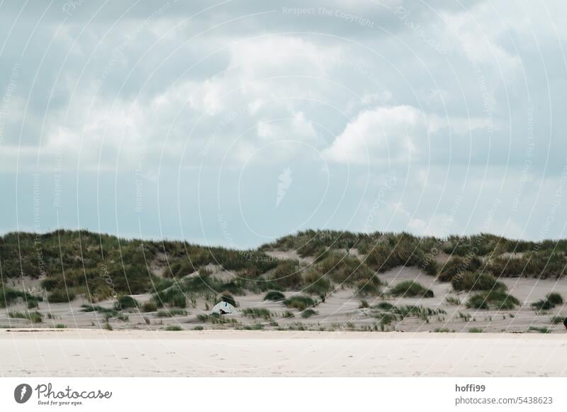 Dune landscape with windbreak and clouds Beach dunes Marram grass Landscape duene Sand Sky Clouds North Sea by oneself North Sea coast Pensive Loneliness