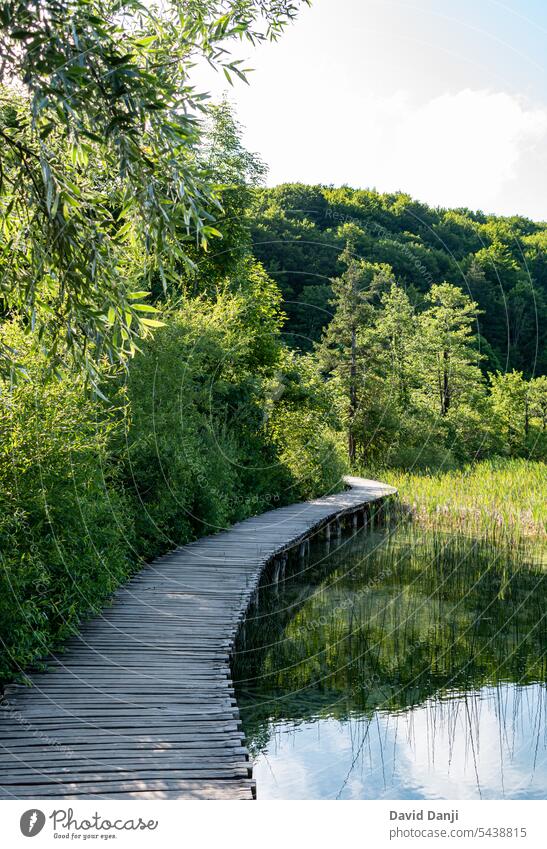 Plitvice Lakes National Park is one of the oldest and largest national parks in Croatia. This photo is taken in July, 2023. attraction background beautiful