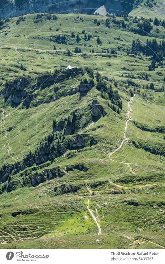 Hiking trail in the mountains hike Switzerland Mountain Alps Panorama (View) Nature Landscape Vantage point Tourism Lanes & trails Walking Exterior shot Steep