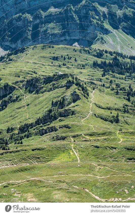 Hiking trail in the mountains in front of a mountain panorama hike Switzerland Mountain Alps Panorama (View) Nature Landscape Vantage point Tourism