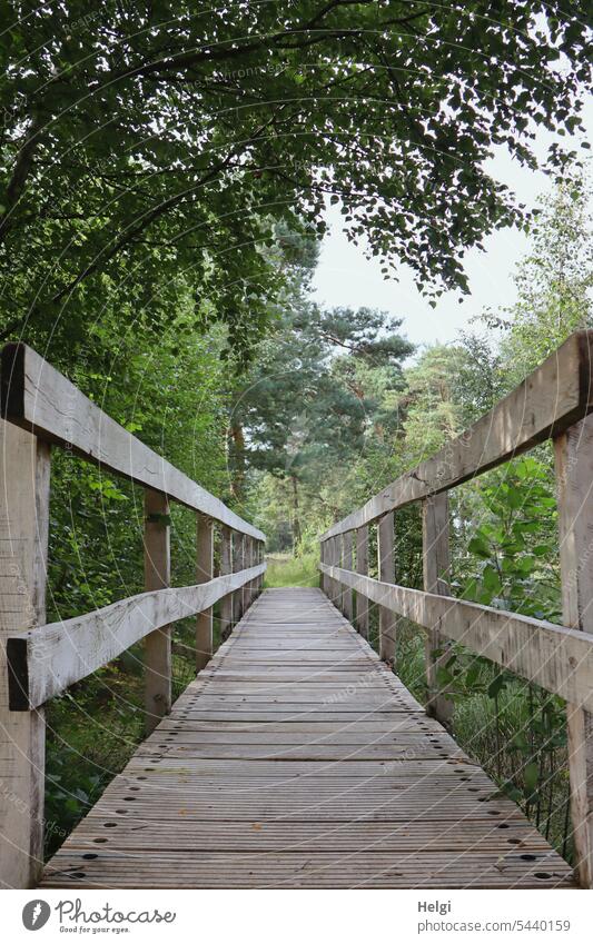 Parallel world | wooden footbridge in bog Footbridge wooden walkway Bog Wood Wood planks wooden rail Perspective perspectively Tree shrub Summer Exterior shot