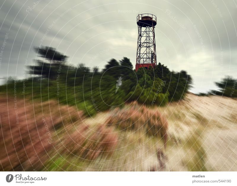 Swedish Hill Landscape Plant Sand Sky Clouds Storm clouds Autumn Weather Bad weather Wind Tree Bushes Forest Coast Baltic Sea Lighthouse Brown Gray Green