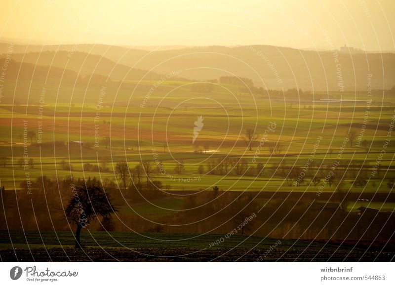 The last rays of the sun Nature Landscape Sky Sunrise Sunset Sunlight Winter Beautiful weather Tree Field Forest Hill Coburg countryside Long mountains