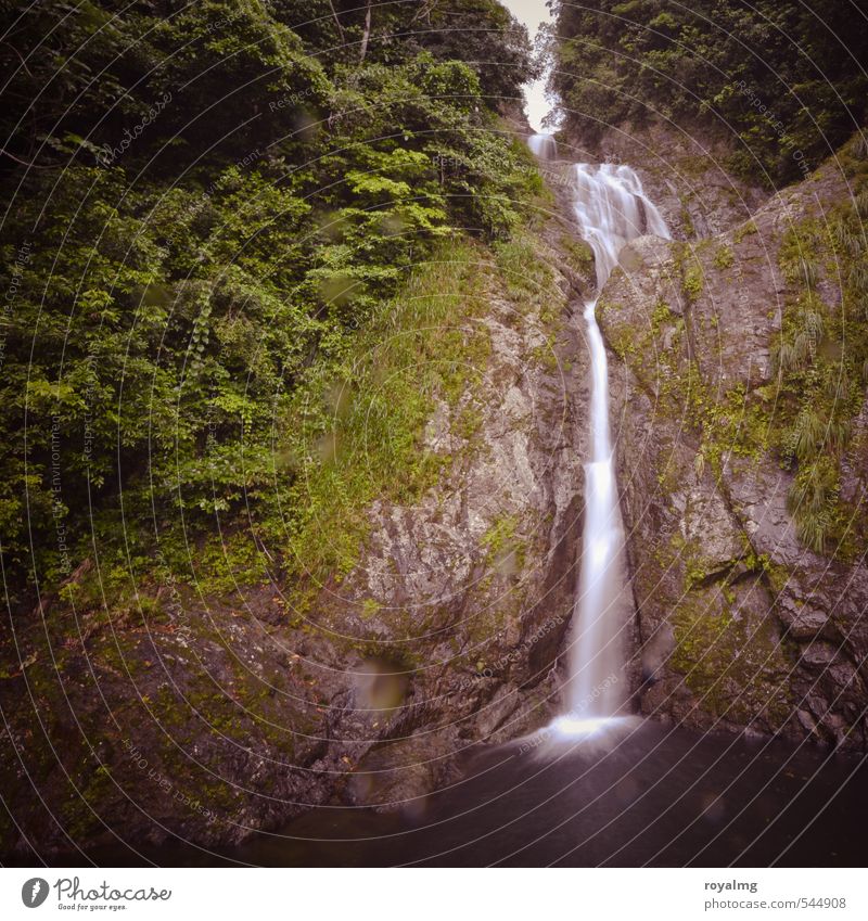 waterfall Hiking Environment Nature Landscape Elements Water Drops of water Lake Brook River Waterfall Movement Climate Power Flow Colour photo Multicoloured