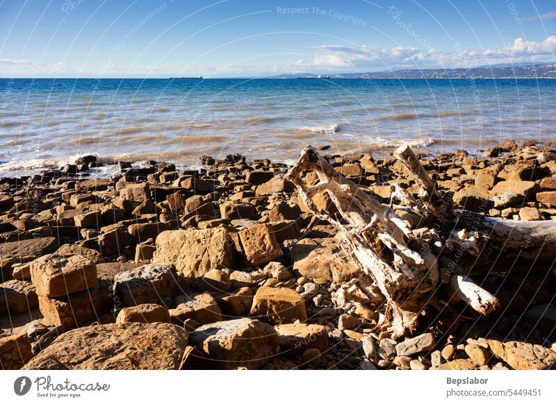 A tree trunk thrown onto a rock seaside beach nature sky seascape blue colorful destination debeli rtič slovenia istria punta grossa sunset stone shoreline