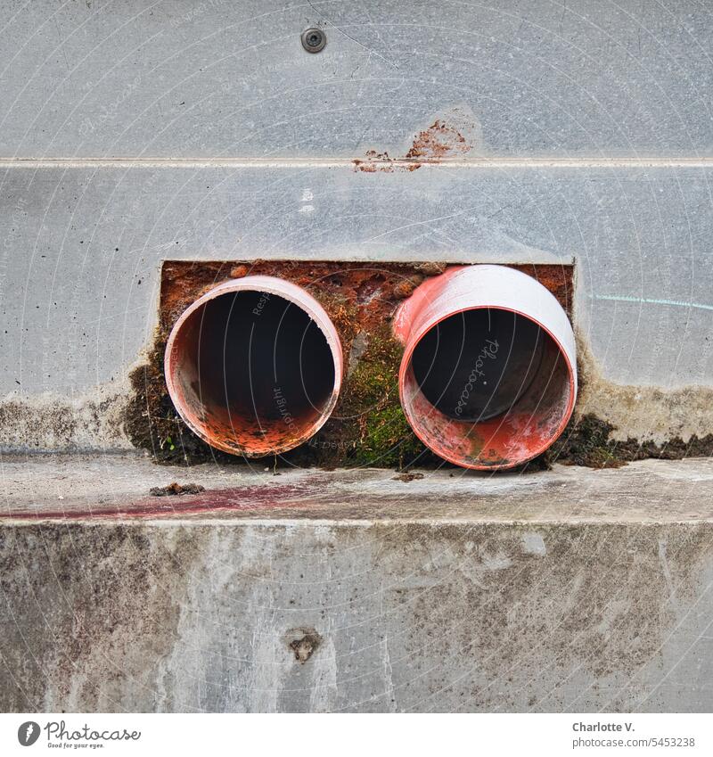 Rotten | Two dirty red pipe ends sticking out of a facade reeds Exterior shot Architecture Facade Wall (building) Old Wall (barrier) Lichen Concrete Red Gray