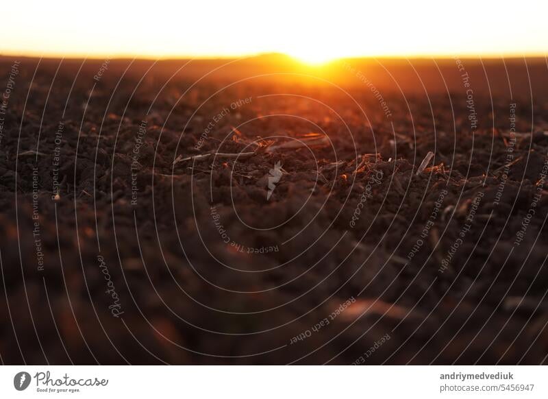 Agriculture and agribusiness concept. Beautiful rural landscape view of large plowed agricultural field of black soil on orange sunset. Preparation farmland for sowing crops and planting vegetables.