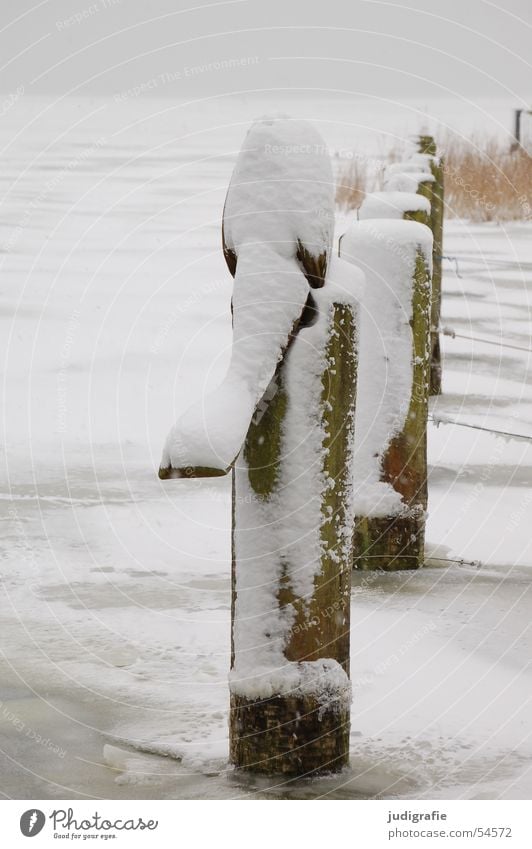 Snow on the Bodden Winter Wood Boddenlandscape NP Lake Pond Body of water Gray Gloomy Cold White Darss Wustrow Fischland Calm Vacation & Travel Pole Rope Ice