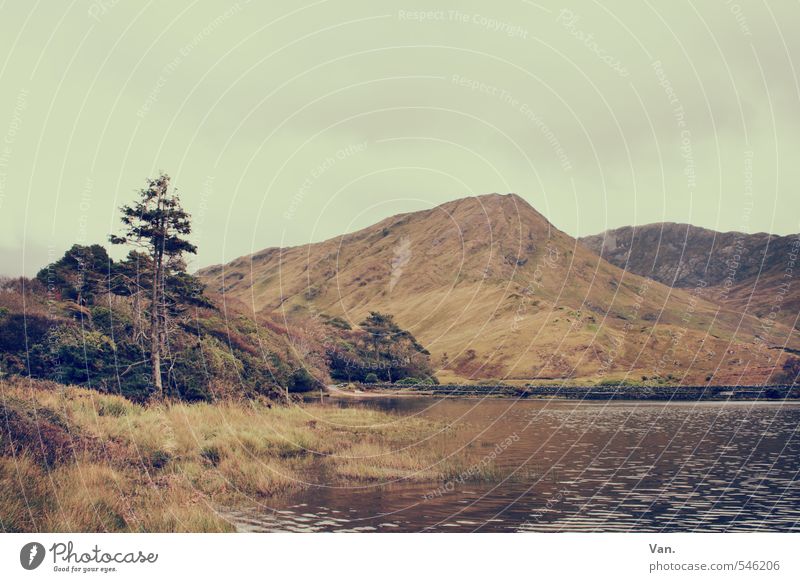 then it was Hiking Nature Landscape Sky Clouds Autumn Tree Grass Hill Rock Mountain Lake Yellow Calm Colour photo Subdued colour Exterior shot Deserted