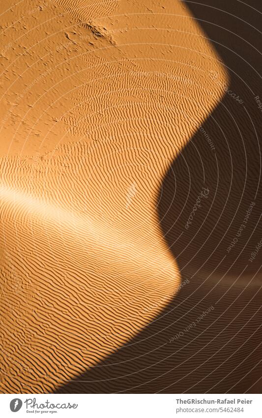 Sand dune with light and shadow play with structures Exterior shot Colour photo Nature Sun Tourism Wahiba Sands Oman Omani desert Landscape Desert