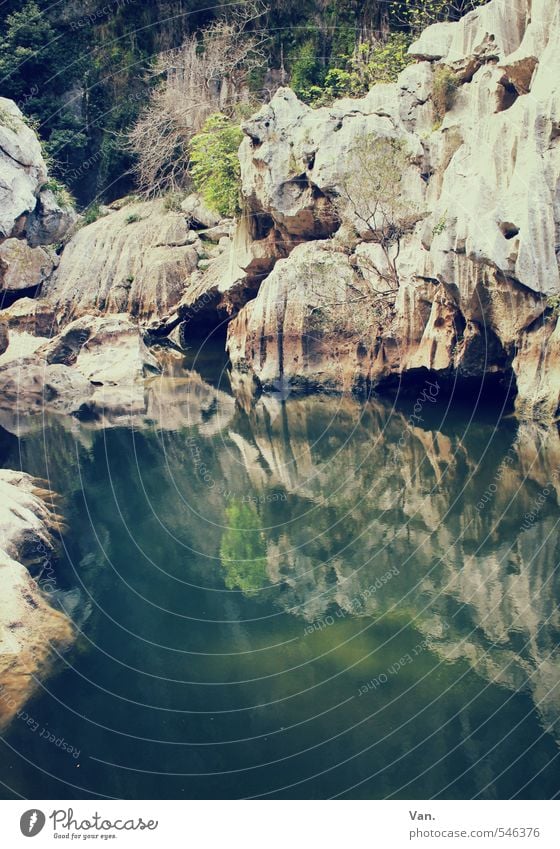 green lagoon Vacation & Travel Hiking Nature Landscape Water Spring Bushes Rock Canyon Pond Green Reflection Colour photo Subdued colour Exterior shot Deserted