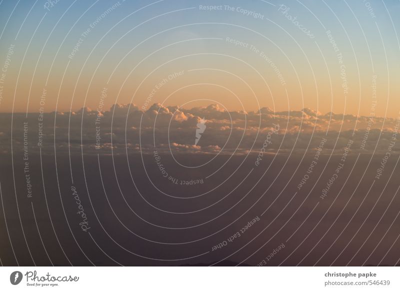 above the clouds Summer Sky Clouds Sunrise Sunset Beautiful weather Far-off places Tall Soft End Horizon Cloud pattern Cloud formation Colour photo