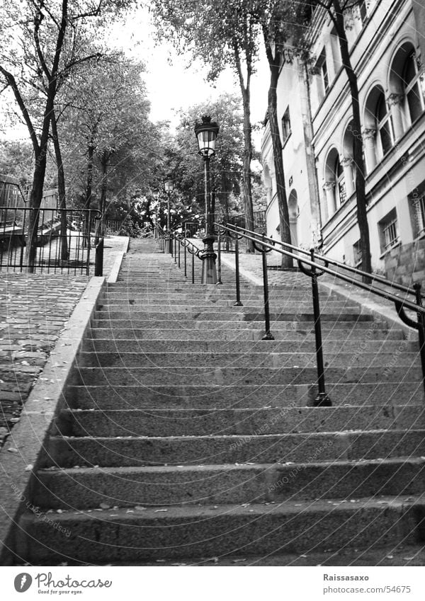 Neverending Steps Steep Lamp Street lighting Ancient Tree Autumn Paris Quarter Sacré-Coeur Leaf House (Residential Structure) Loneliness Exterior shot Stairs