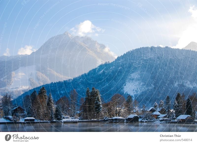 Winter in the mountains Nature Landscape Water Sky Clouds Sunlight Beautiful weather Ice Frost Snow Hill Rock Alps Mountain Snowcapped peak Lake Observe Freeze