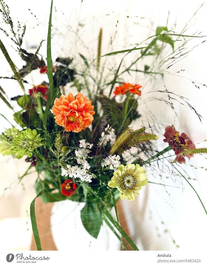 Late summer flowers and grasses in the vase Summerflower late summer Bouquet dahlia zinnia blurriness Flower Blossom garden flower Nature flowering flower