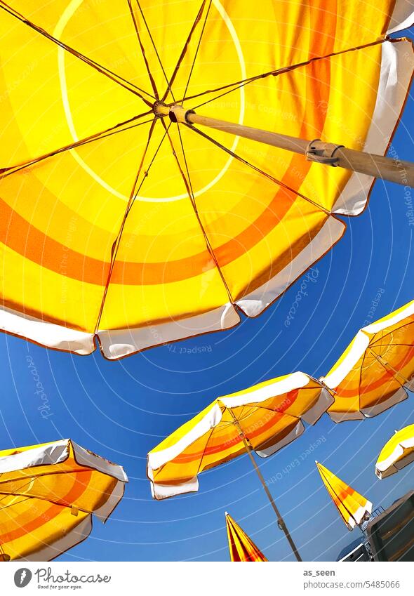 Yellow parasols vacation Sunshade Summer Vacation & Travel Sky Summer vacation Relaxation Beach Tourism Ocean Beautiful weather Sunbathing Sunlight Blue