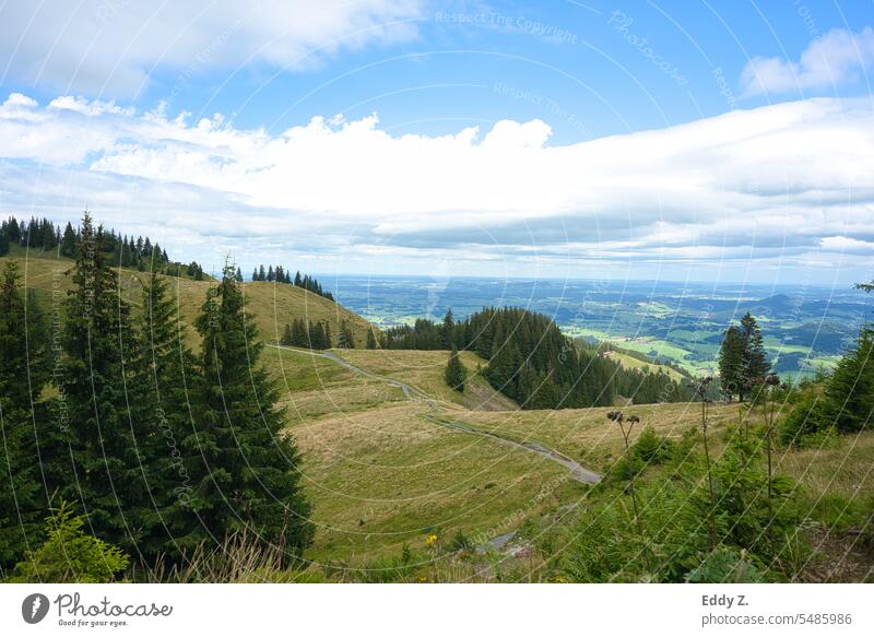 Alpine panorama view from the direction of Edelsberg 1630m. Green forests. The Allgäu in the background. Alps alpine panorama Mountain Nature Landscape Hiking