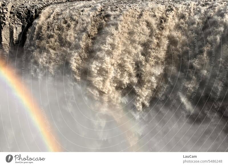 Rainbow at Dettifoss, the falling waterfall Waterfall dettifoss Torrents of water Force of nature River Elements Iceland Wild Roaring White crest Nature