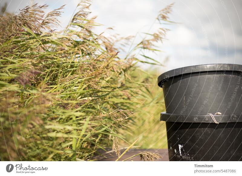 Two black vats on the edge of the fjord Vats Containers and vessels Black two 2 stacked grasses Wind Sky Clouds Fjord wooden walkway Denmark Deserted