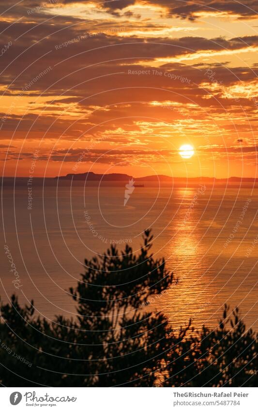 Sunset with island in the background and tree in the foreground Amalfi Coast Italy coast Summer Landscape Nature Tourism Vacation & Travel coasts trees vacation