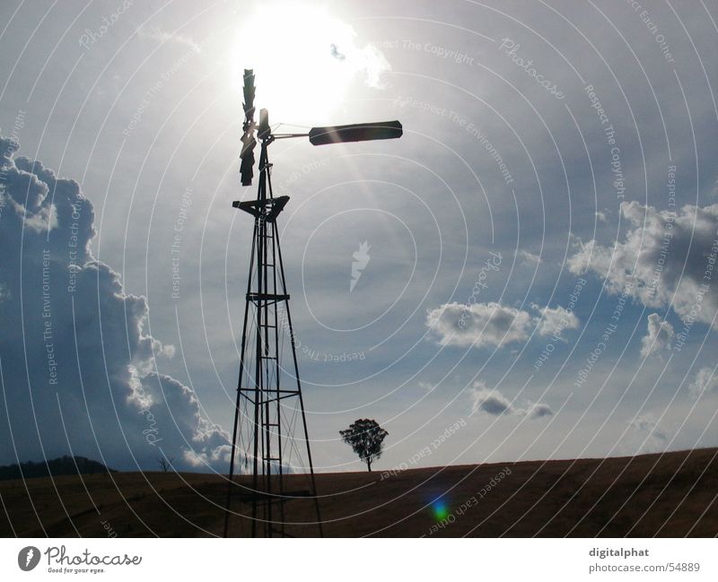 WindStilLife Mill Tree Australia Zealand Clouds Light Mountain new clowds Sun big small back black blue Lens flare