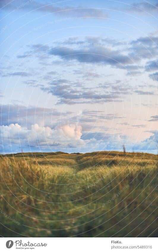 Clouds over the dunes of Denmark duene dune landscape Beach Nature Vacation & Travel Landscape coast Marram grass Sky North Sea coast Relaxation destination