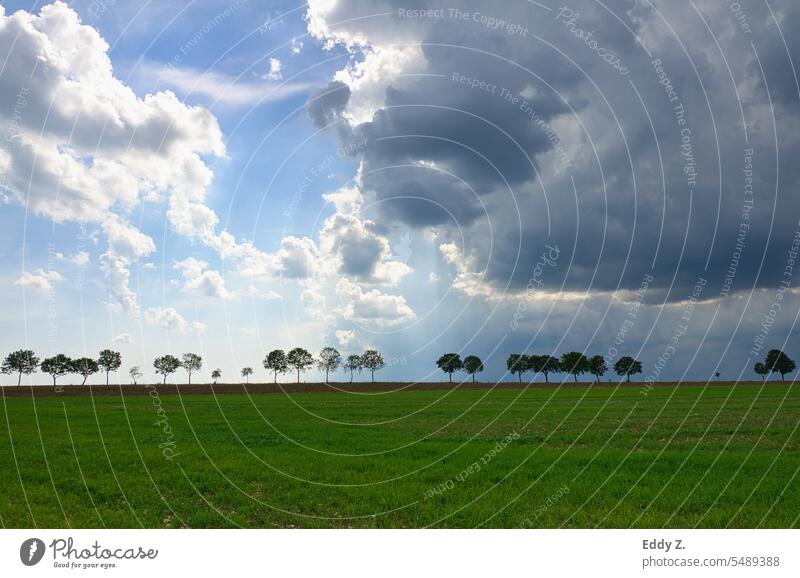 Dramatic sky with rain clouds on horizon over rural landscape field meadow. Raincloud Weather dramatic sky Horizon Sky Clouds Bad weather Dark Storm