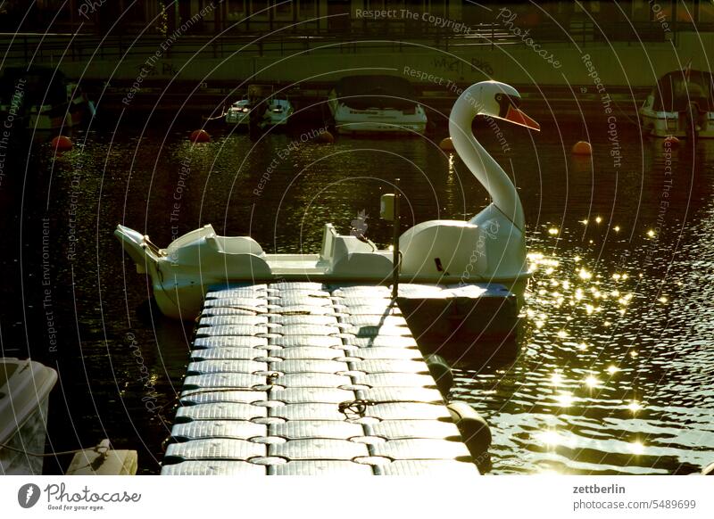 Pontoon with swan Old town Manmade structures Pedestrian precinct Building Hanseatic League Hanseatic City Historic Church Mecklenburg meckpomm Medieval times