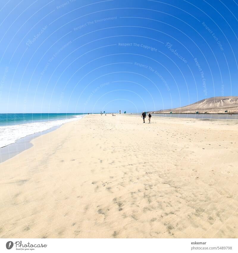 Playa de Sotavento, Fuerteventura Beach sotavento Sandy beach Gorgeous far wide Risco del Paso barca Playa Barca Canaries Canary Islands canary island Extensive