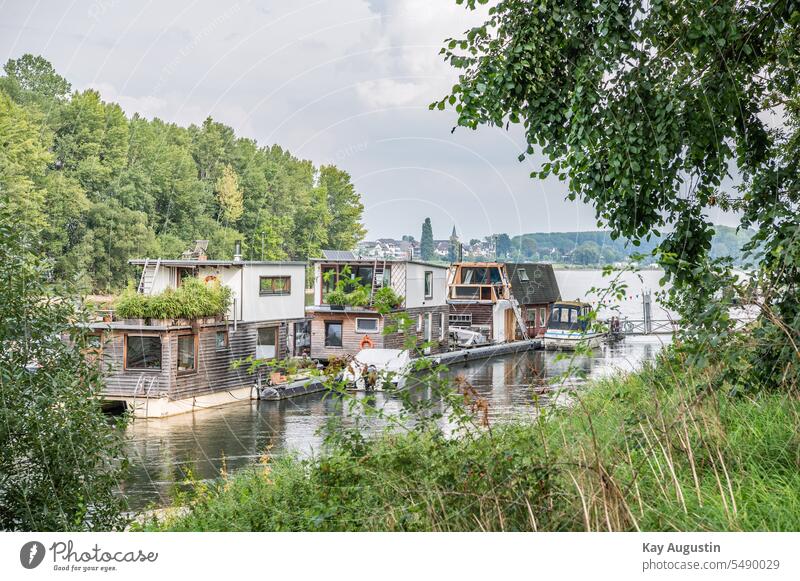 Boathouses on the Rhine Germany Mondorf ferry rheinufer North Rhine-Westphalia north rhine westphalia Shore line shore zone living space House on the Rhine