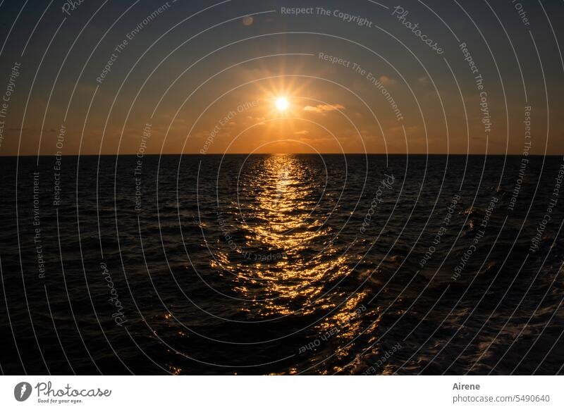 golden waves Evening Ocean Waves Sunset Water evening light Elements Maritime Sky Gold Glittering pretty Contrast Calm Infinity Wanderlust Esthetic