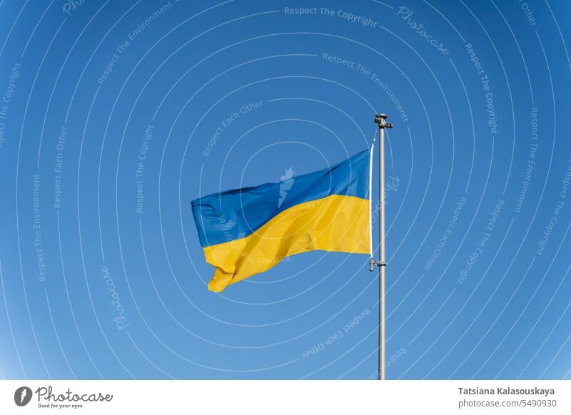 Ukrainian flag of yellow-blue colors on the background of clear blue sky ukraine ukrainian ukrainian flag country symbol sign europe wind wave pole national