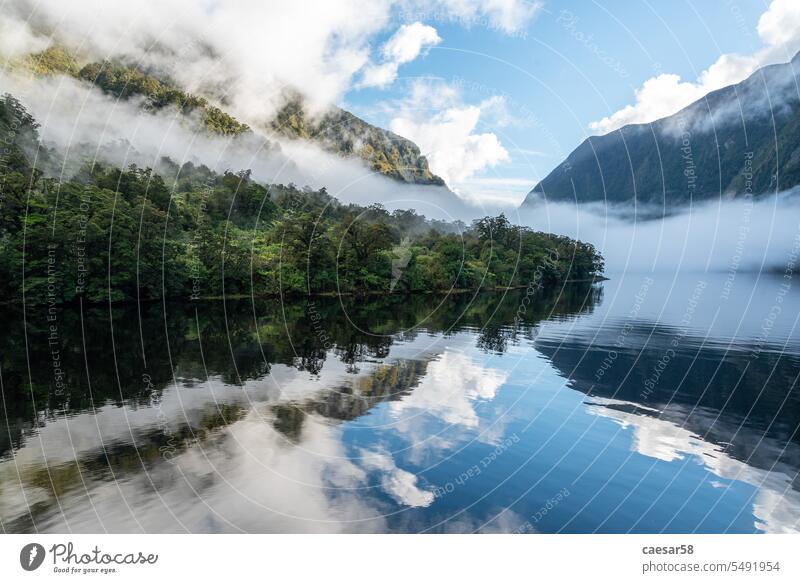 A new morning dawning at Doutful Sound, clouds hanging low in the mountains, Fiordland National Park, New Zealand new zealand nature reflection bank shore