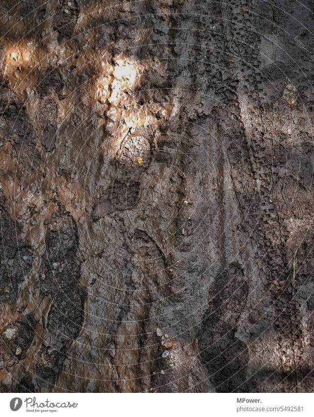 Footprint in mud footprint Walking Tracks Sludgy Dirty Lanes & trails off path Forest Environment Deserted Hiking Footpath Nature Loneliness To go for a walk