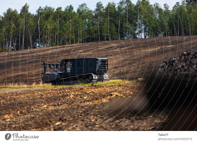 Cleared forest with forest machine Forest cleared trees Tree Woodground Bark-beetle forest work Heavy machine