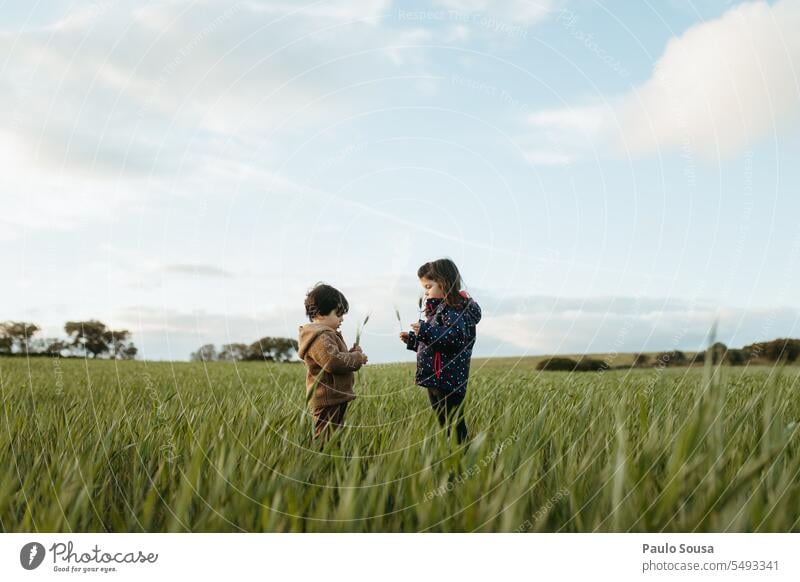 Brother and sister playing outdoors Brothers and sisters Child childhood family Family & Relations Authentic Autumn Autumnal Children's game Colour photo Happy