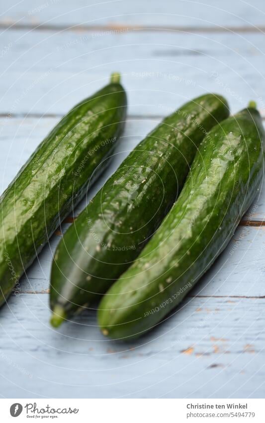 fresh green cucumbers Cucumbers Snake cucumbers Vegetarian diet Healthy Eating Food photograph Vegan diet Vegetable Organic produce Fresh Midigurken