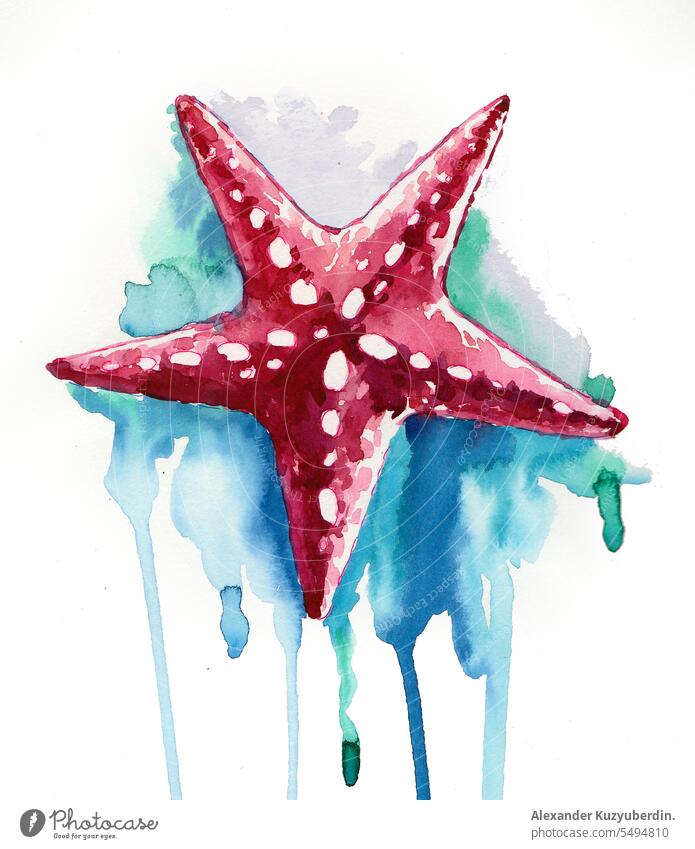 Watercolor sea star art beach beauty coral design illustration isolated life marine mollusk nature ocean pattern shell starfish summer texture travel tropical