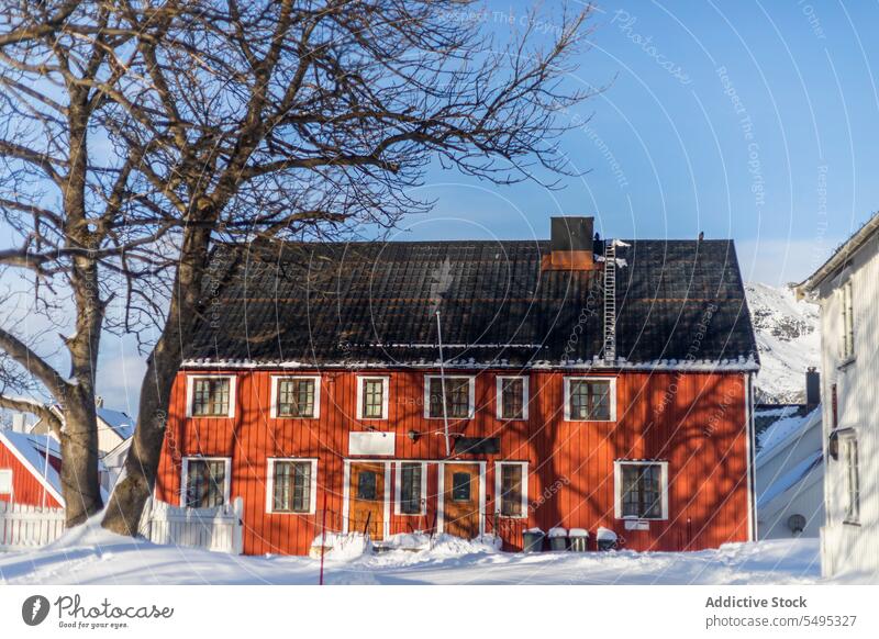 Facade of red house in winter cottage snow facade exterior wooden settlement tree mountain norway lapland lofoten island north europe atlantic nordic arctic